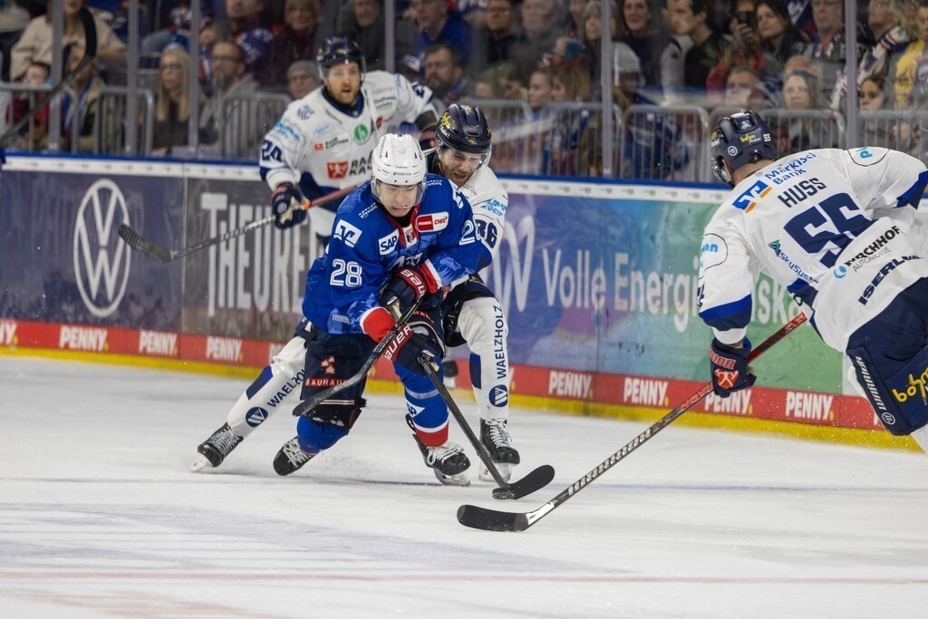 DEL, Deutsche Eishockey Liga Saison 2025/26, 29. Spieltag: Adler Mannheim Iserlohn Roosters | DEL, Deutsche Eishockey Liga Saison 2025/26, 29. Spieltag: Adler Mannheim Iserlohn Roosters***Am Puck: Alexander Ehl (28, Mannheim) - Realisiert mit Pictrs.com