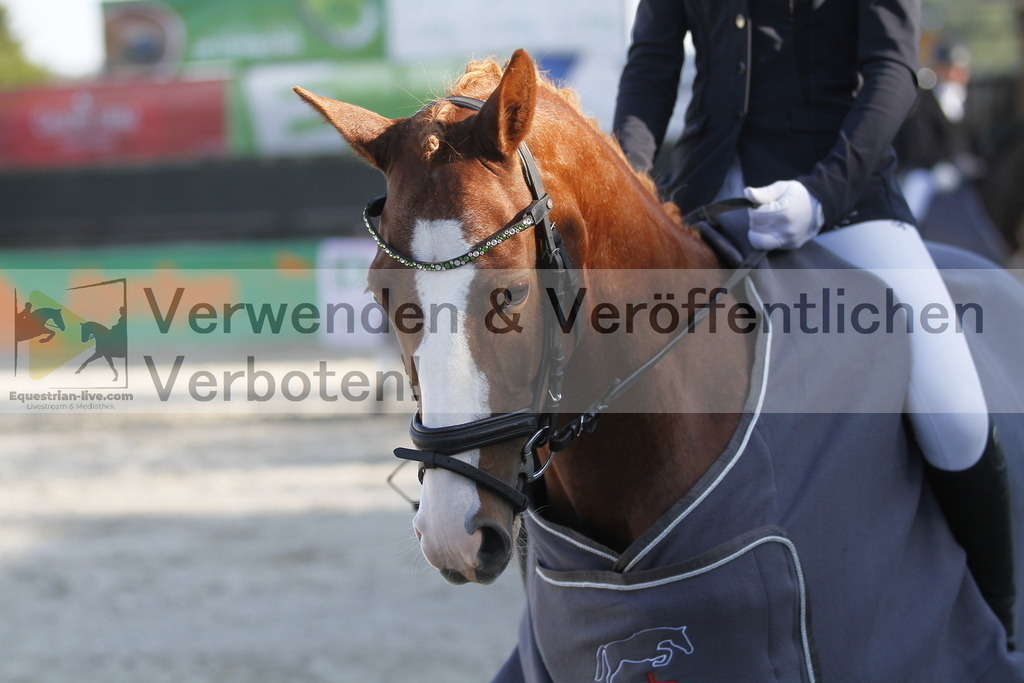 _MG_2892 | equestrian-live-com