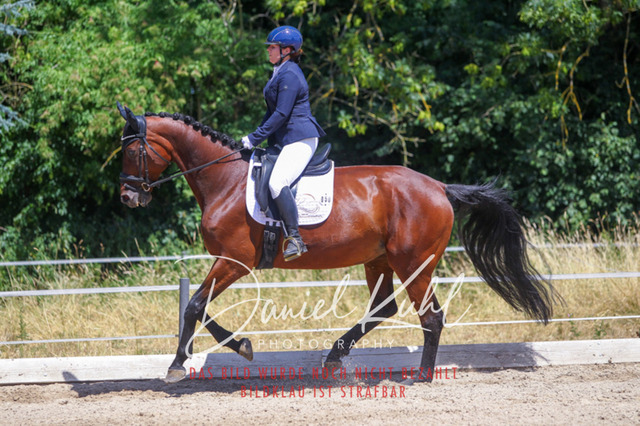 DKP46512 | Turniersportfotografie; Pferdefotografie; Dressurfotografie