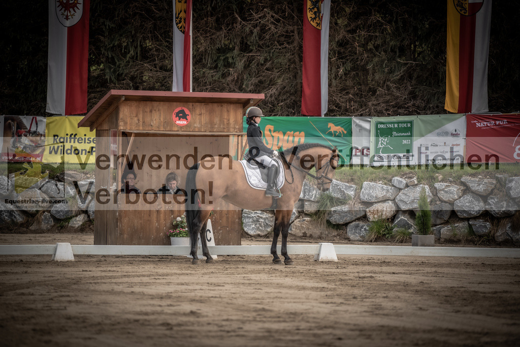 DSC_8457 | equestrian-live-com
