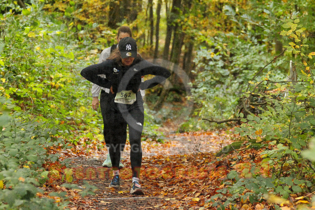 251026_1324_EV4_6914 | Sportfotografie im Rhein-Sieg Kreis, Köln, Bonn, NRW, Rheinland Pfalz, Hessen, etc. Unser Tätigkeitsfeld umfasst den Laufsport vom Volkslauf über den Marathon, Duathlon, Triathon bis zum Ultralauf wie Kölnpfad Ultra oder Schindertrail.
