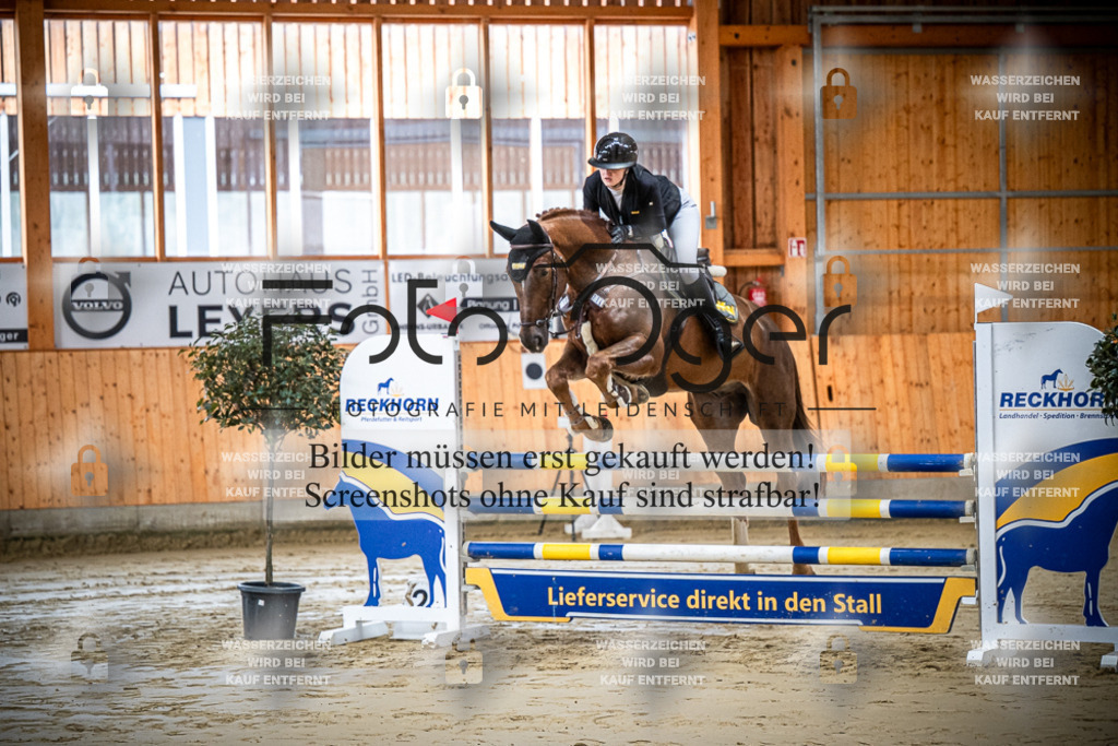 DOS_0017 | Entdecke hochwertige Reitturnierfotos von Foto Oger. Professionell, emotional und authentisch – jetzt Lieblingsmomente im Shop bestellen.Deutschlandweite Turnierfotografie. - Realisiert mit Pictrs.com