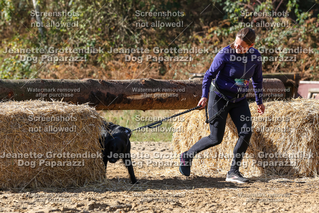 Dog Paparazzi - Strongdog 10-25-4772 | Dog Paparazzi Jeanette Grottendiek Fotografie & Videografie - Realisiert mit Pictrs.com