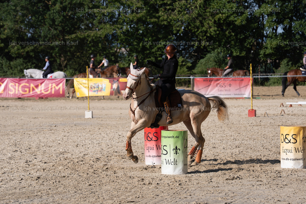 WS_SP_65_SinaFilmArt_IN09359 | working equitationturnier fotograf videograf stoibphotography marixx film working equitation deutschland reitsport turnierfotografie eventfotografie equestrian events