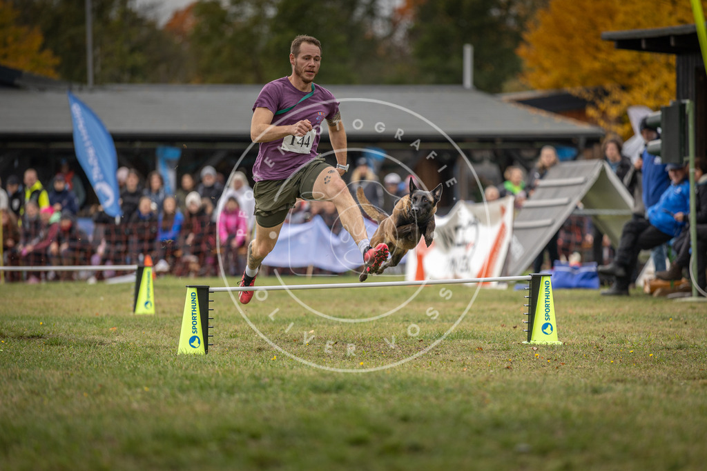 Pfotenfotografie_DV3A7810 | Hundefotografie, Tierfotograf, Pfotenfotografie, Fotoshooting Hund, Hunde Portrait, Hundesport, Hundeportraits, Heideshooting, Hunde, Sportfotograf, Hundefotograf, Turnierhundsport, THS,  - Realisiert mit Pictrs.com