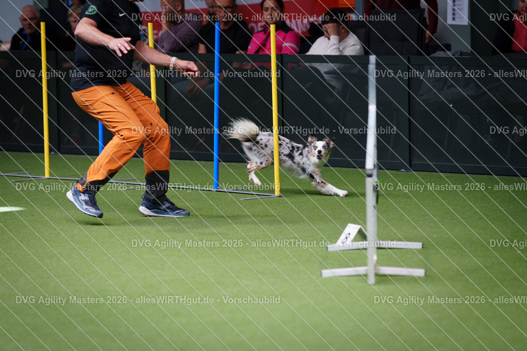 allesWIRTHgut_Tierfotografie-DVG_Agility_Masters_2026-11_15-7R505346 | Professionelle Tierfotografie in Mönchengladbach von Daniel Wirth (allesWIRTHgut). Liebevolle & natürliche Bilder von Hunden & Katzen für unvergessliche Erinnerungen.