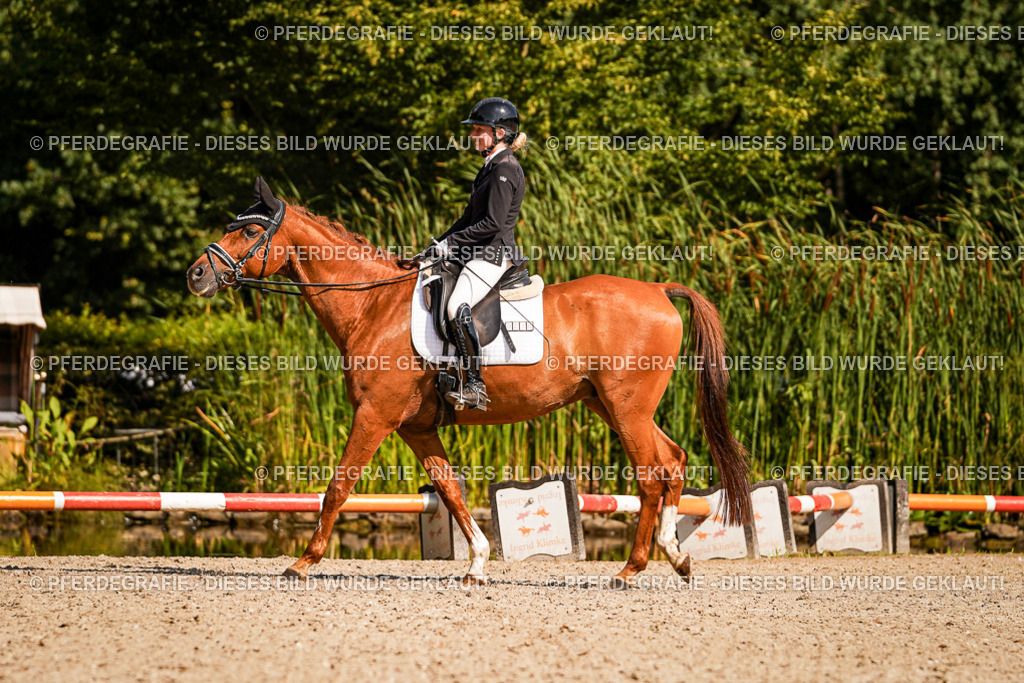 DSC00845 | Pferdegrafie