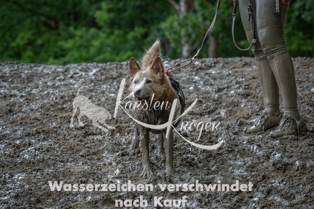 1412_ZZ91774-Verbessert-RR | kk-dogfotos