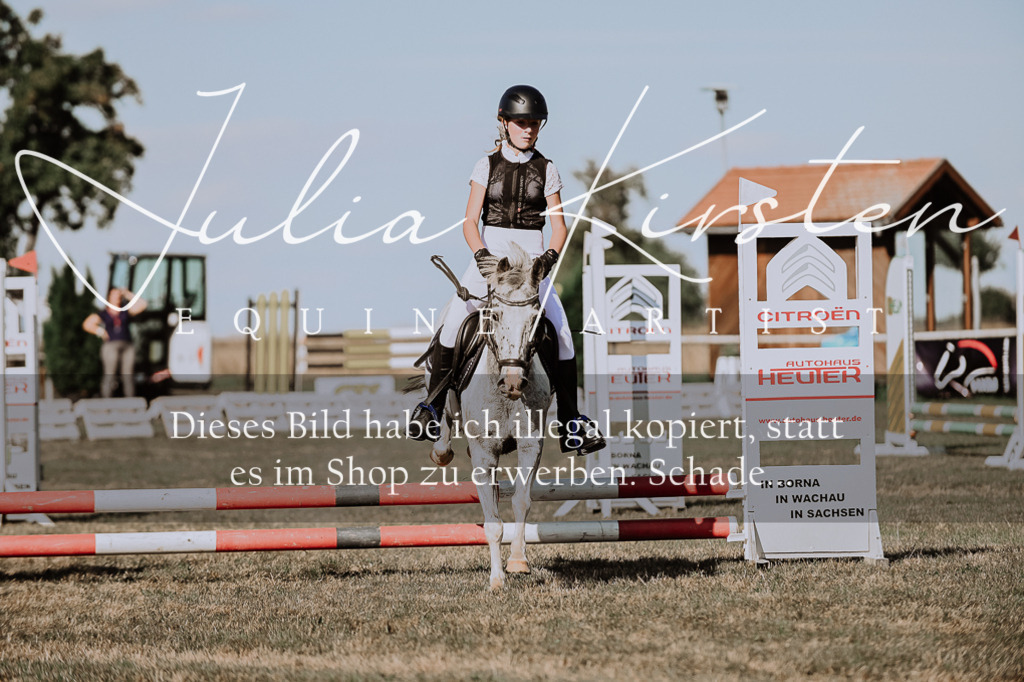 DSC_9441 | Pferde- und Turnierfotografie in Westsachsen. Pferdeportraits, Auftragszeichnungen und intuitive Kunst.