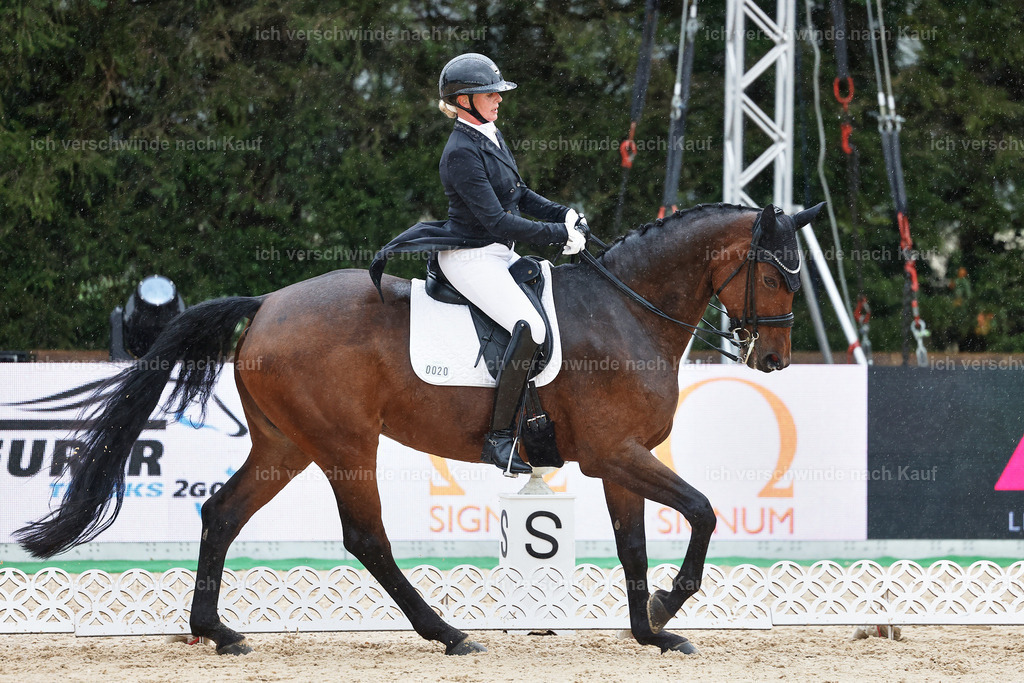 8_1-020-Klasse S_  -StoibPH-3998 | working equitationturnier fotograf videograf stoibphotography marixx film working equitation deutschland reitsport turnierfotografie eventfotografie equestrian events