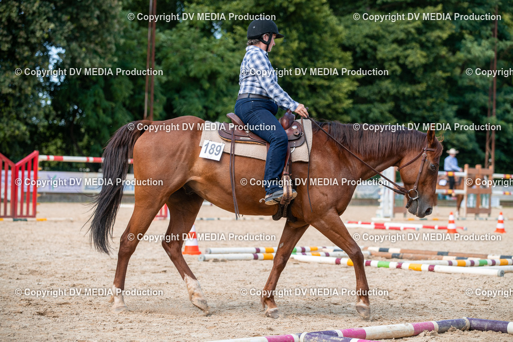 EWP_6799 | dv-media-shop - Realisiert mit Pictrs.com