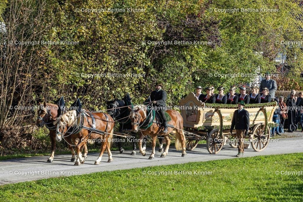 LBT24-423 | foto-bettina-krinner - Realisiert mit Pictrs.com