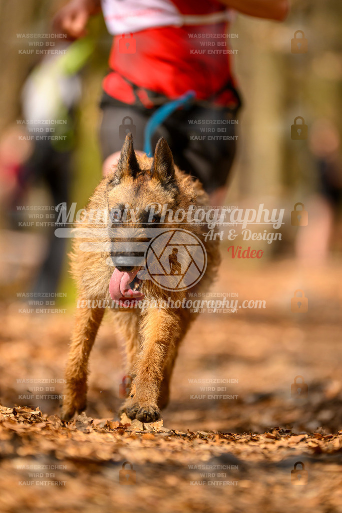 MompixPhotography_Habay2025_SA_CCC-124 | PayLife