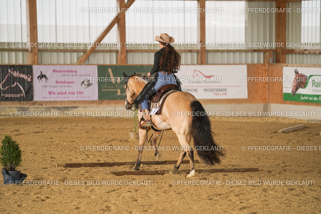 DSC01420 | Pferdegrafie