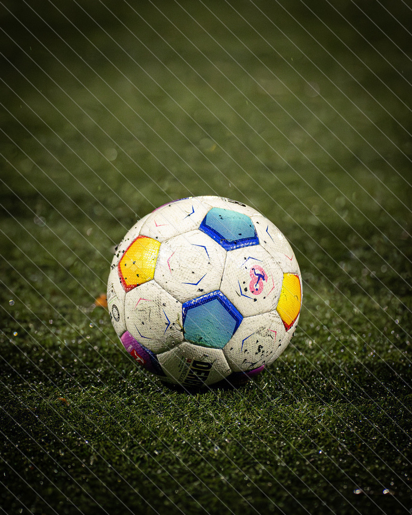 20251115_Picselweb-Fotografie_1R3_0760 | Dein Fotograf aus dem Landkreis Stade für Sport und Events - Realisiert mit Pictrs.com