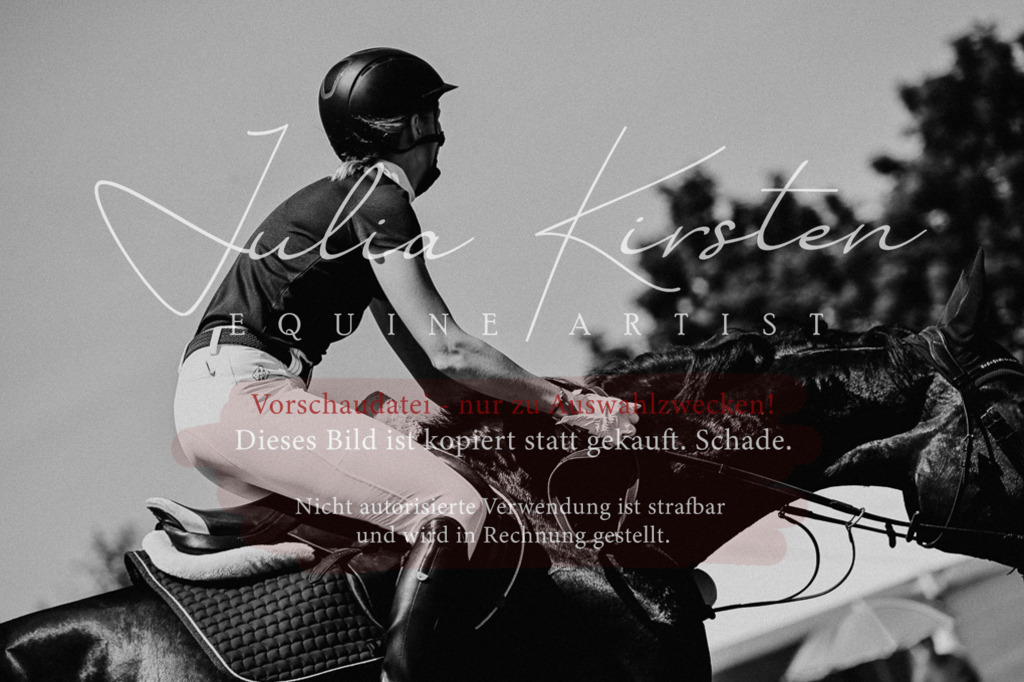 DSC_0096 | Pferde- und Turnierfotografie in Westsachsen. Pferdeportraits, Auftragszeichnungen und intuitive Kunst.
