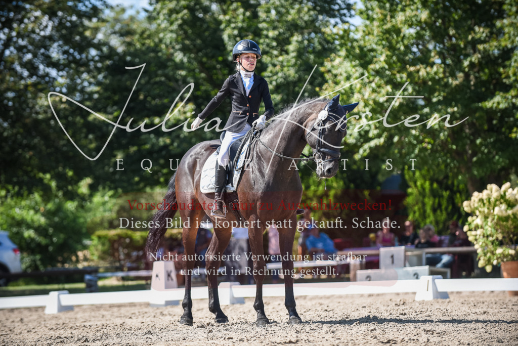 DSC_9570 | Pferde- und Turnierfotografie in Westsachsen. Pferdeportraits, Auftragszeichnungen und intuitive Kunst.
