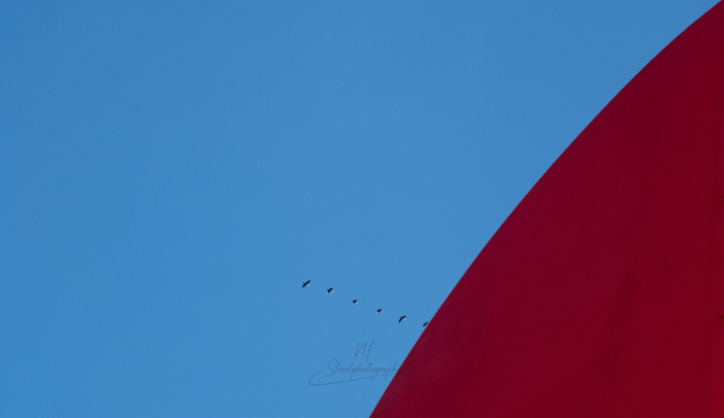 _DSF6042 | ​Minimalistische Street Photography & Urban Art von Nils Friederichs. Entdecke hochwertige Fotokunst-Prints und Wandbilder aus der Region Hildesheim & Hannover. - Realisiert mit Pictrs.com