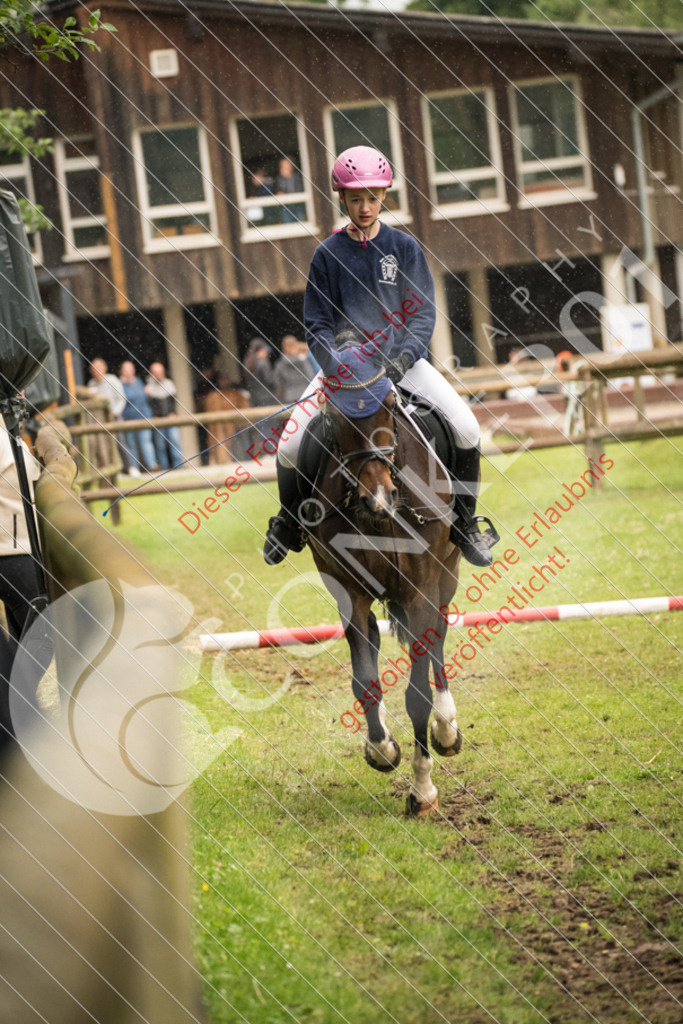 DSC_4770 | Sport-, Event- und Tierfotos in Profiqualität. Einfach auswählen, bestellen und herunterladen. Dein Moment – perfekt festgehalten.
