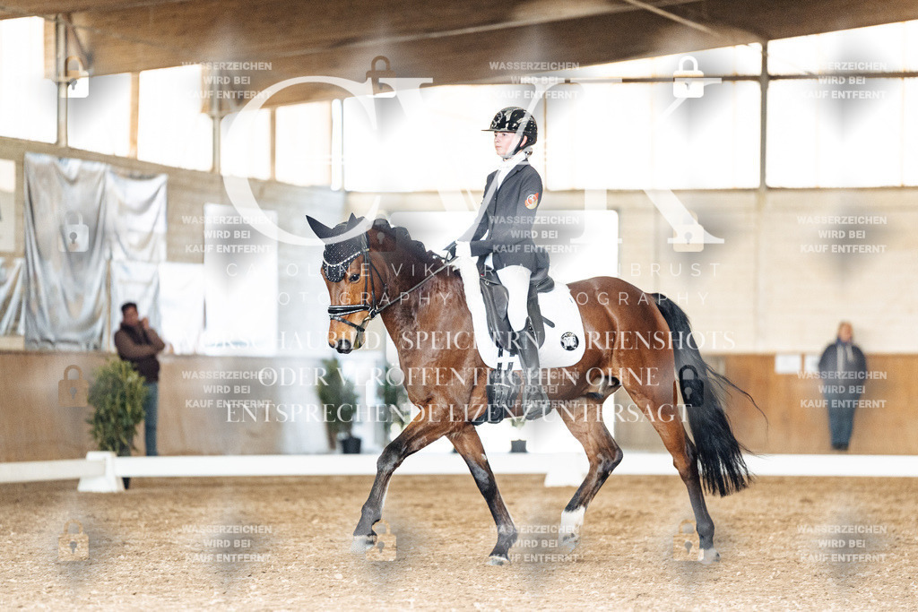 CK901980 | Turnierfotografie Pferdefotografie Trier Rheinland-Pfalz Pferdesport Reitsport Tierfotografie Sportfotografie Pferdevideo Pferdevideografie Equestrianvideography equestrianphotography  - Realized with Pictrs.com