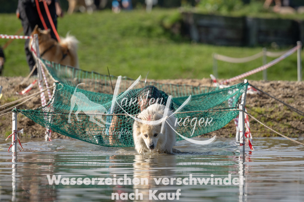 1133_ZZ93277 | kk-dogfotos