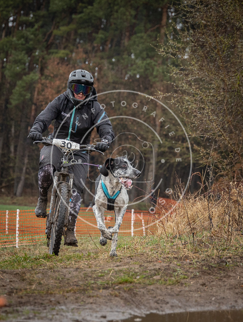 0L8A8930 | Hundefotografie, Tierfotograf, Pfotenfotografie, Fotoshooting Hund, Hunde Portrait, Hundesport, Hundeportraits, Heideshooting, Hunde, Sportfotograf, Hundefotograf, Turnierhundsport, THS,  - Realisiert mit Pictrs.com