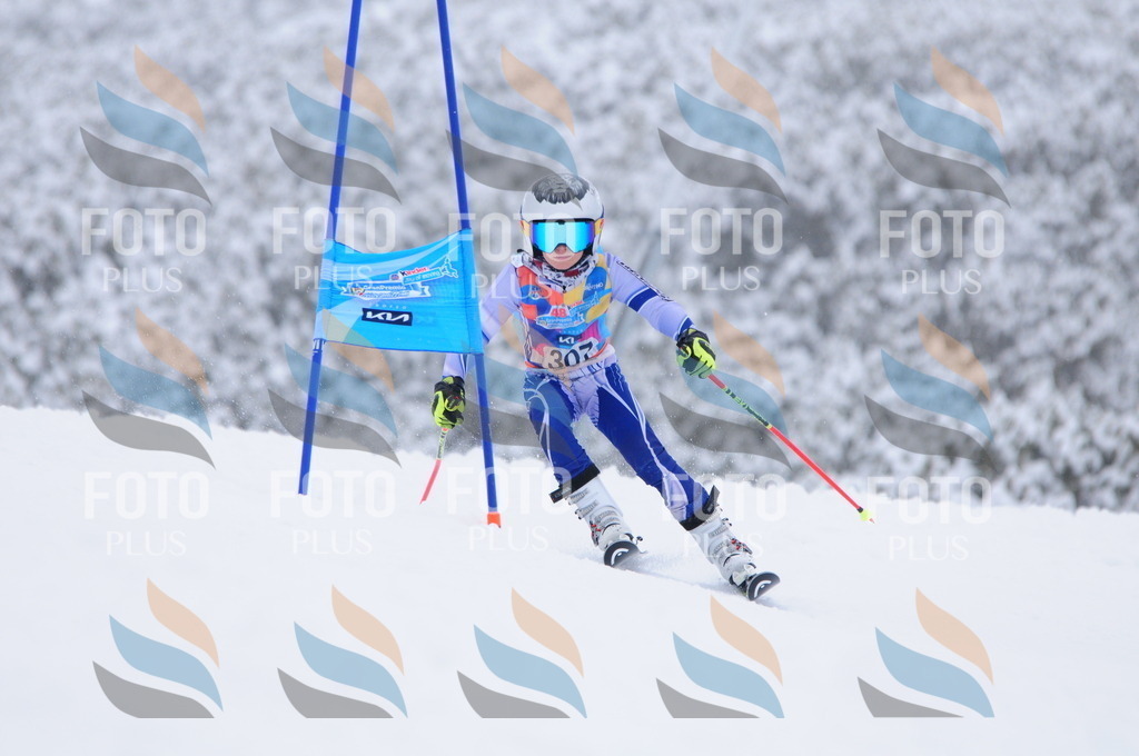 C3240 | holidayphoto