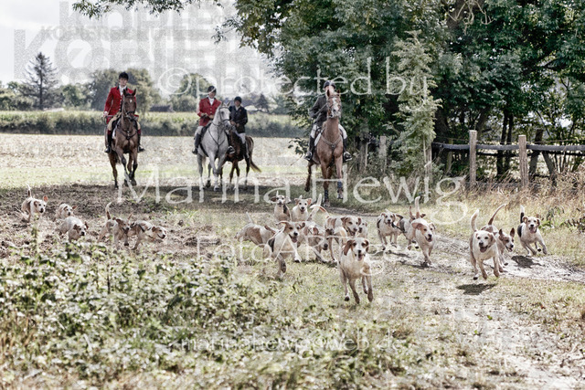 SH-Jagd Husby 22_MH22271_Marina Hewig | Fotografie, FotoArt, PferdesportArt, Pferdesportfotografie, Landschaftsfotografie, Reisefotografie, Reise, Pferde - Realisiert mit Pictrs.com