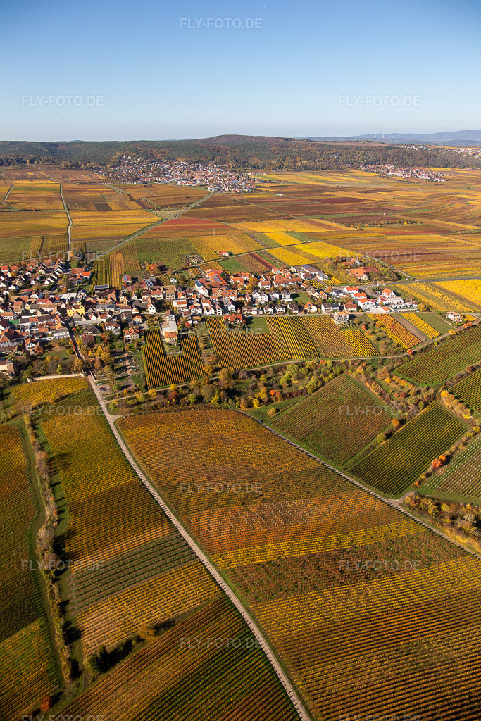 Luftbild: Weinbergen am Haardtrand in Weisenheim am Berg im Bundesland Rheinland-Pfalz in Deutschland. Foto: IMG_123515.jpg vom 31.10.2020 durch Werner Riehm/FLY-FOTO.de