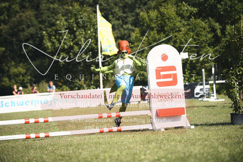 DSC_7493 | Pferde- und Turnierfotografie in Westsachsen. Pferdeportraits, Auftragszeichnungen und intuitive Kunst.