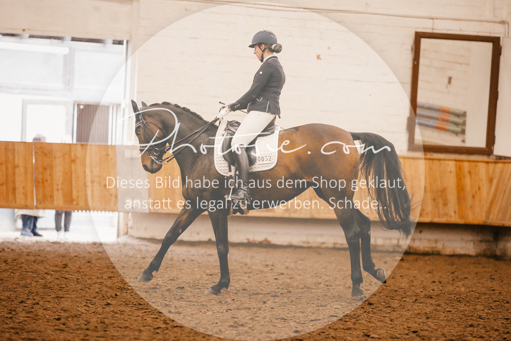 3I6A2672 | Stimmungsvolle Portraits und Reitsportfotografie im Ruhrgebiet und im Münsterland.

Pferdefotografie, Hundefotografie, Tierfotografie, Reportagen, Portraits von Tier und Mensch, Turnierfotografie in Bochum, Recklinghausen, Marl, Haltern am See, Dülmen.. - Realisiert mit Pictrs.com