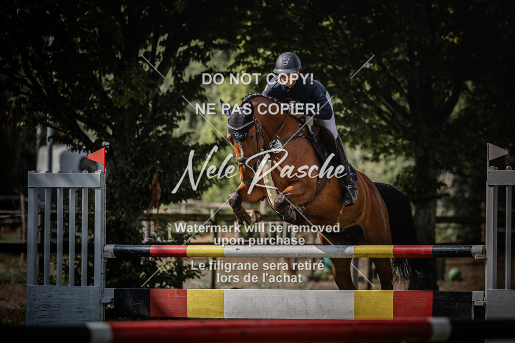 nelerasche_SprL110Ede_88 | nelerasche