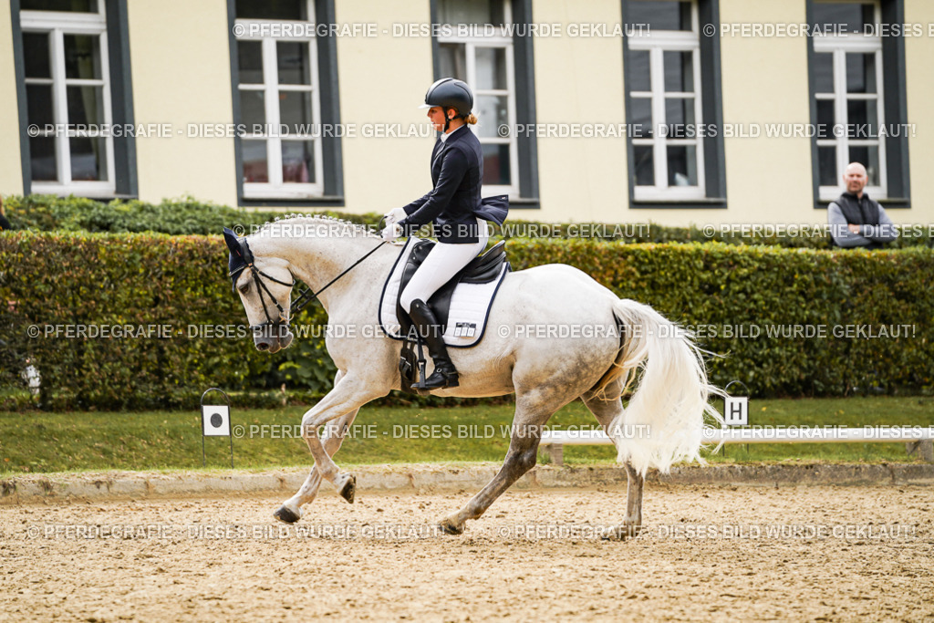 DSC02716 | Pferdegrafie