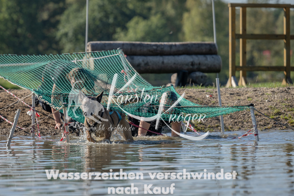 1334_ZZ91022 | kk-dogfotos
