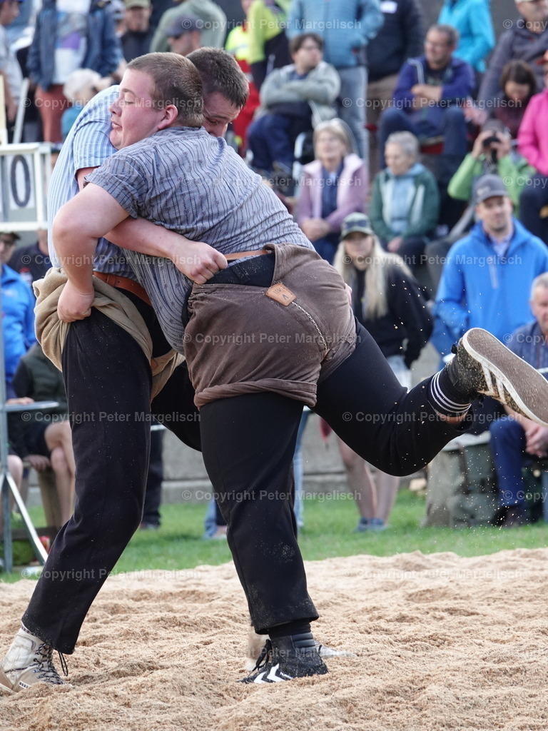 DSC07092 | Schwingen - Realisiert mit Pictrs.com