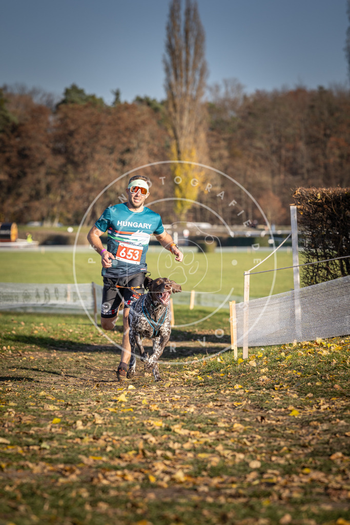 CaniXpix_DV3A0529 | Hundefotografie, Tierfotograf, Pfotenfotografie, Fotoshooting Hund, Hunde Portrait, Hundesport, Hundeportraits, Heideshooting, Hunde, Sportfotograf, Hundefotograf, Turnierhundsport, THS,  - Realisiert mit Pictrs.com