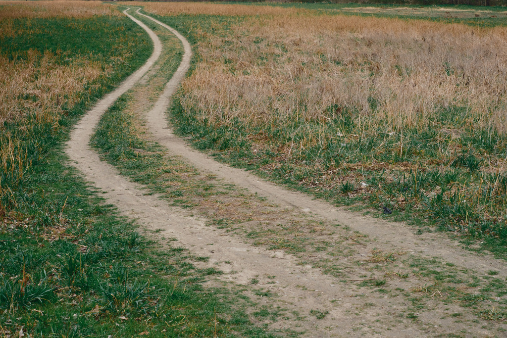 Feldweg durch eine Wiese | Wien, Austria - March 24, 2025: Feldweg durch eine Wiese. - Realisiert mit Pictrs.com