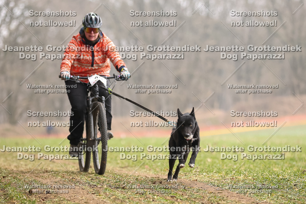 Dog Paparazzi - Plate 2026-128 | Dog Paparazzi Jeanette Grottendiek Fotografie & Videografie - Realisiert mit Pictrs.com