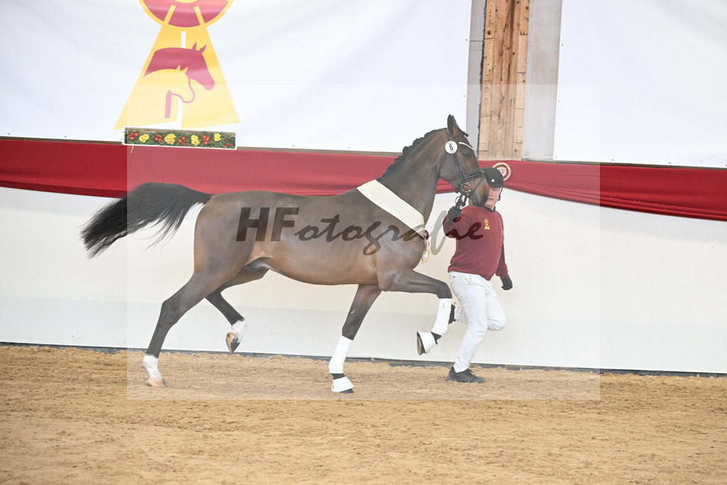 Kat.-Nr. 6 v. Cento_Dobel_2251655 | hf-fotografie - Realizzato con Pictrs.com