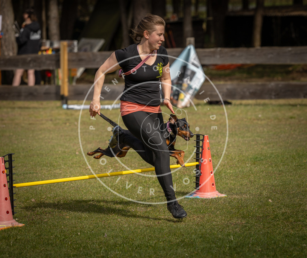 Pfotenfotografie_DV3A9427 | Hundefotografie, Tierfotograf, Pfotenfotografie, Fotoshooting Hund, Hunde Portrait, Hundesport, Hundeportraits, Heideshooting, Hunde, Sportfotograf, Hundefotograf, Turnierhundsport, THS,  - Realisiert mit Pictrs.com