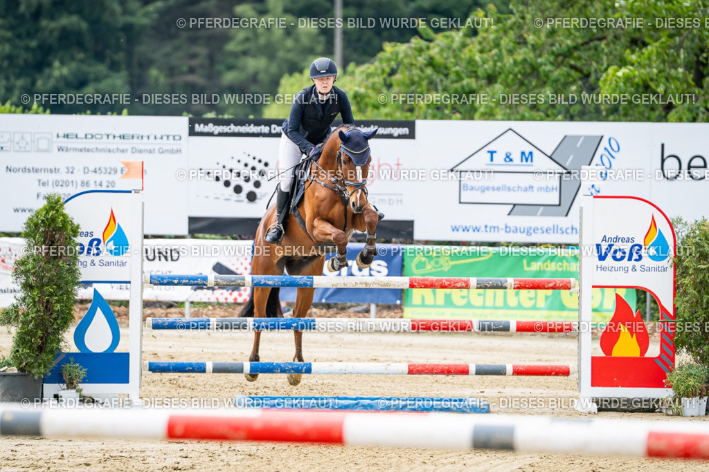 DSC04904 | Pferdegrafie