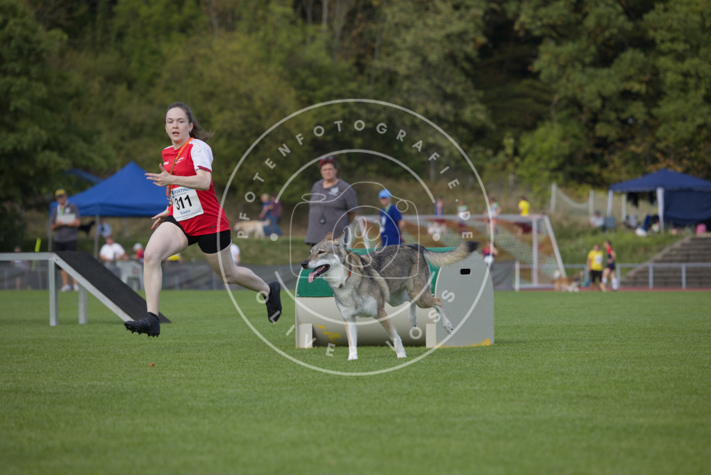 0L8A3674 | Hundefotografie, Tierfotograf, Pfotenfotografie, Fotoshooting Hund, Hunde Portrait, Hundesport, Hundeportraits, Heideshooting, Hunde, Sportfotograf, Hundefotograf, Turnierhundsport, THS,  - Realisiert mit Pictrs.com