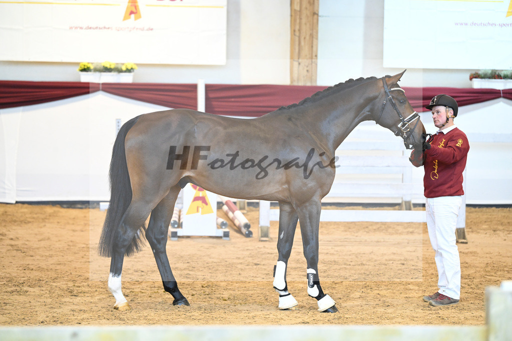 Kat-Nr. 63 v. Quineiro_Schuster_66221458 | hf-fotografie - Realisiert mit Pictrs.com
