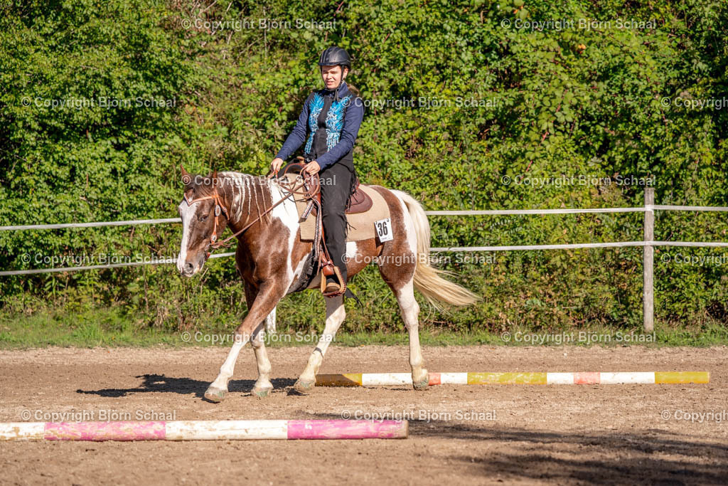 SAL02618 | BS-foto