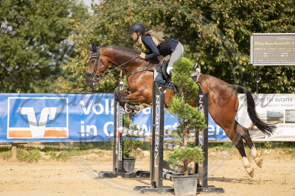 994A7830 | sabrinanicolaifotografie - Realisiert mit Pictrs.com