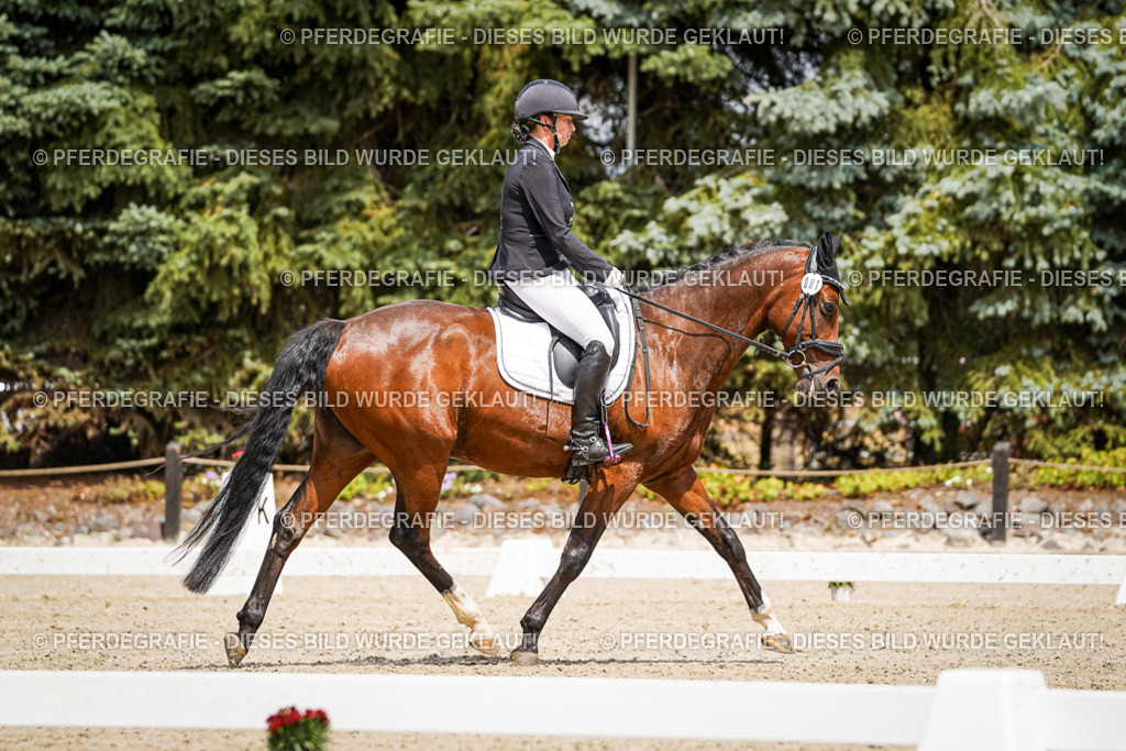 DSC02422 | Pferdegrafie