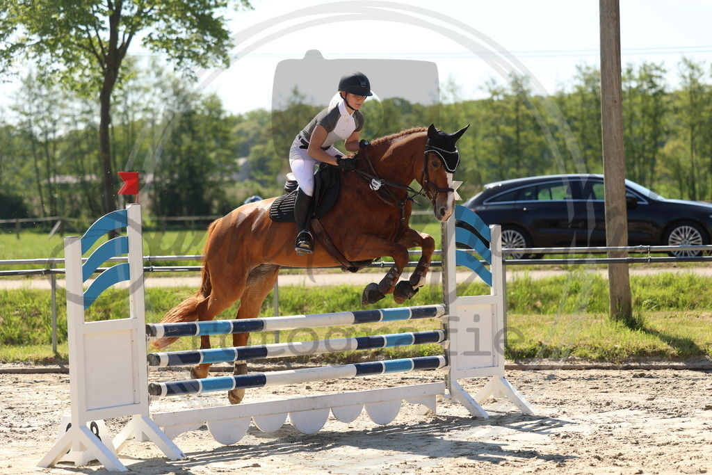 994A5624 | sabrinanicolaifotografie - Realisiert mit Pictrs.com