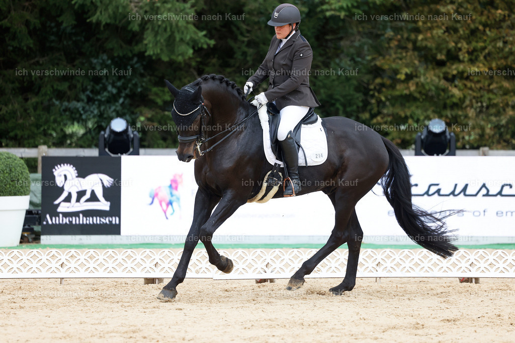 04_2-214-Dressur M__ -StoibPH-2942 | working equitationturnier fotograf videograf stoibphotography marixx film working equitation deutschland reitsport turnierfotografie eventfotografie equestrian events