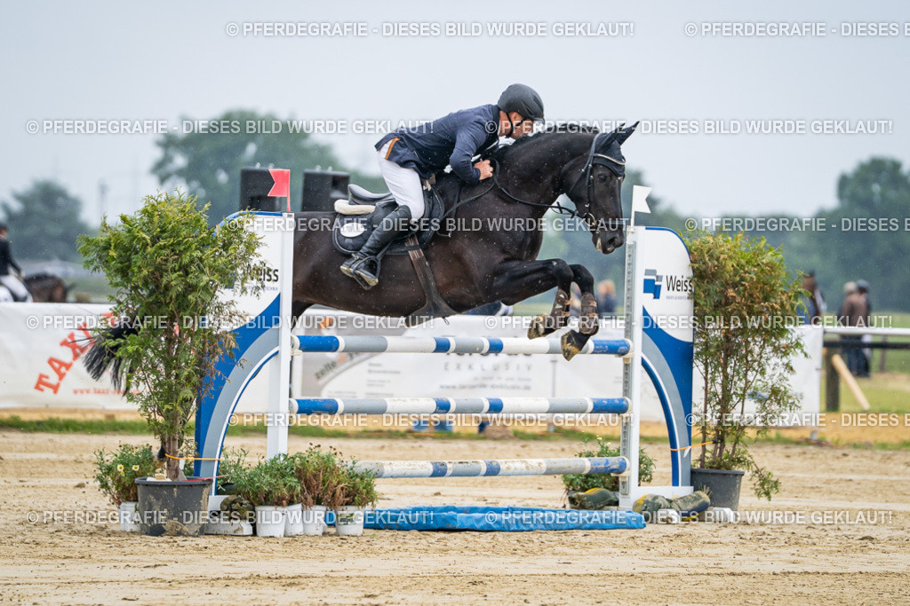 DSC01310 | Pferdegrafie