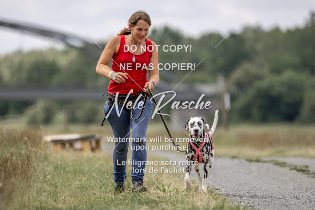 nelerasche_BuHu2026_SaCC1100-1200_75 | nelerasche